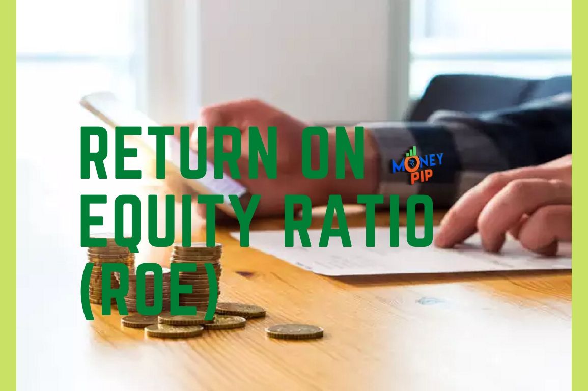 Return on Equity Ratio (ROE)