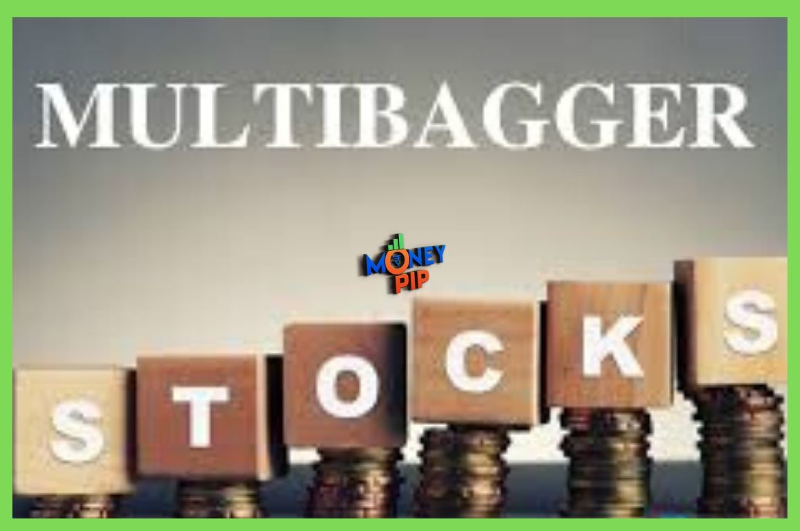 multibagger Stock