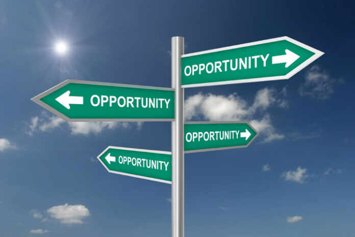 Small business opportunities consider